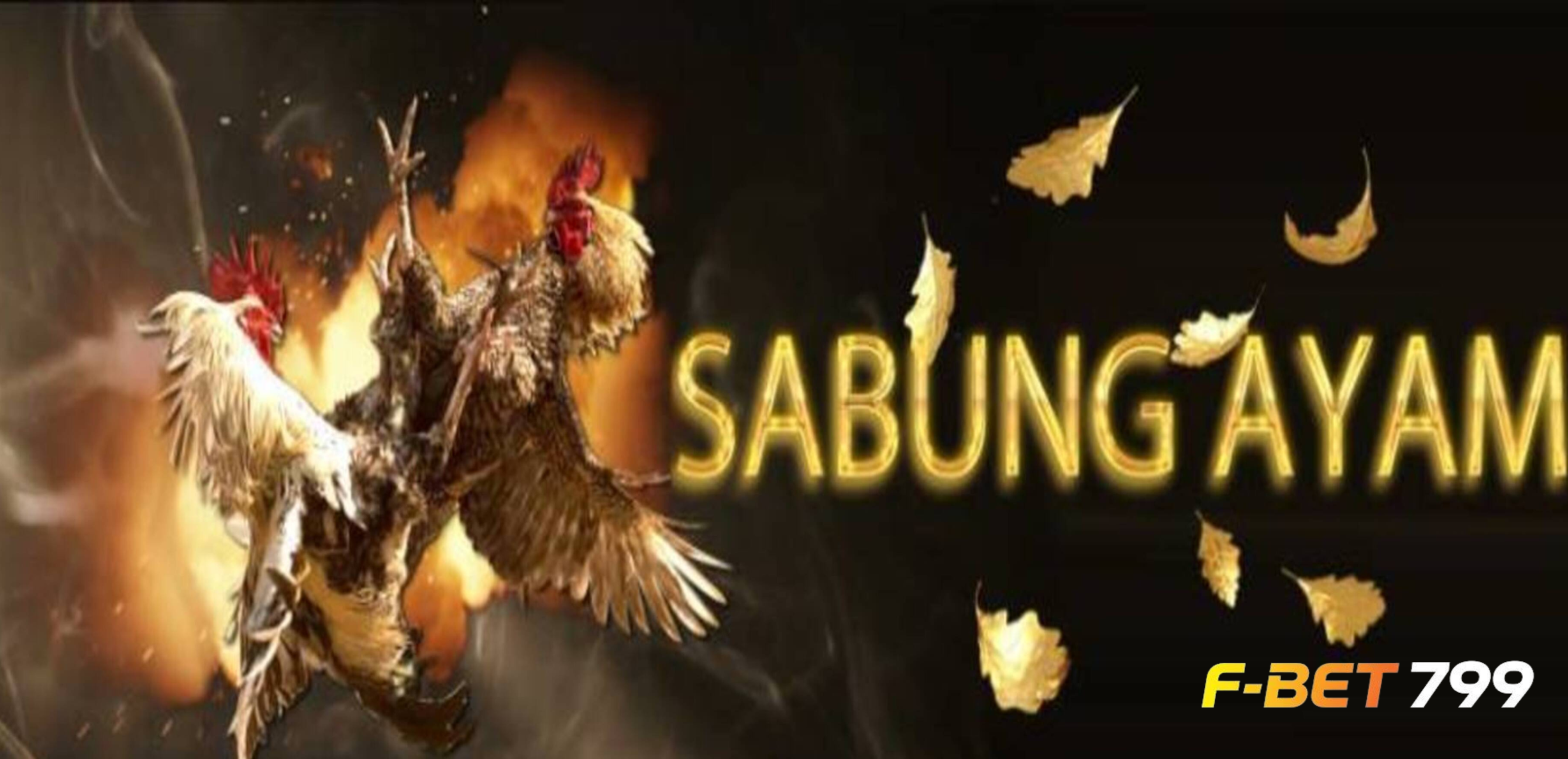 SABUNG AYAM